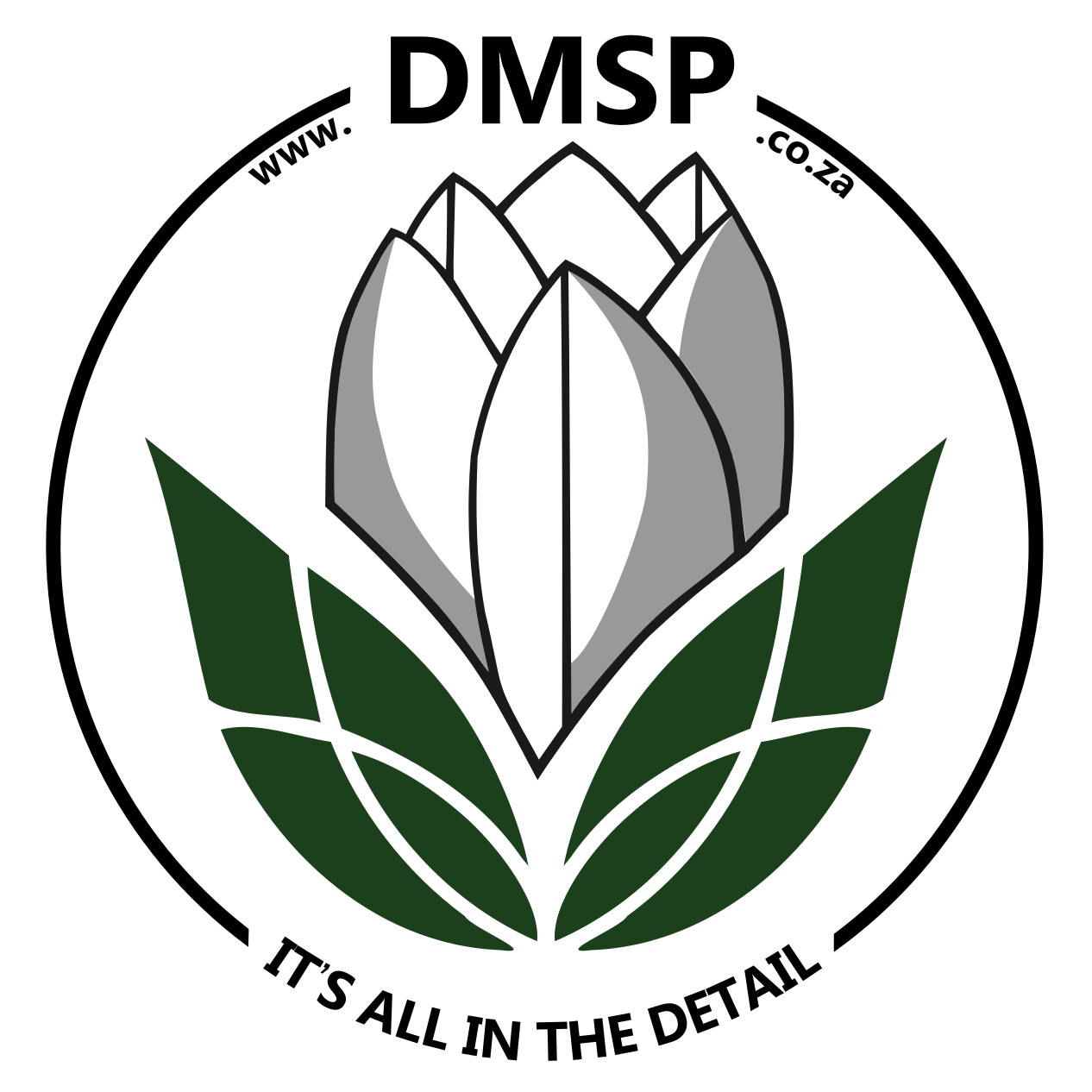 DMSP LogoWWW